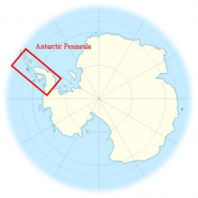 Antarctic Peninsula