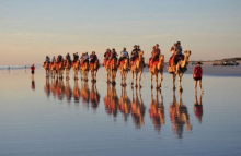 Camel Rides at Camel Beach