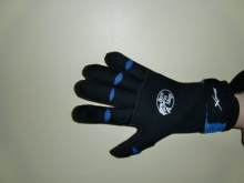 Wind and waterproof gloves