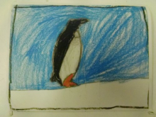 Another penguin postcard