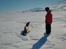 Seal and scientist