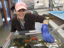 Holding an isopod