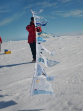 Flags for Ice and Glaciers