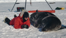 Alex with seal