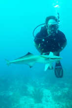 Greg diving in Belize