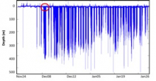 Dive data from a TDR