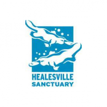 The Healsville Sanctuary logo