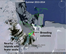 Map of seals locations