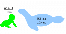 Caloric density