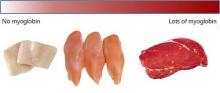 Myoglobin comparison