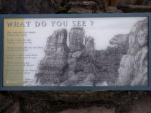 What do you see?