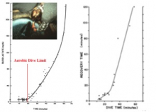 Seal dive lactic acid and recover time graphs