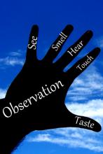 Observation