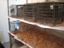 Shelves in lab