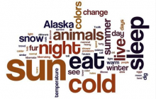 Word cloud 