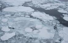 Ice on top of the lander