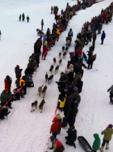 Start of the Yukon Quest Race