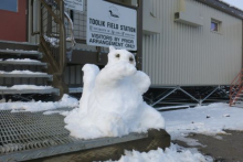 snow squirrel