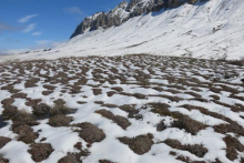 snow on tundra