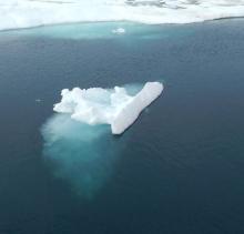 Mini Iceberg