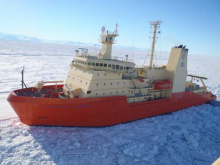 NB Palmer in Ice