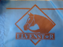 Elvenstar Farms Riding Academy,Training Barn, Show Stables - Moorpark, CA