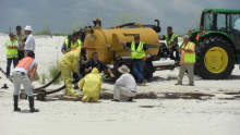 Crews "vacuum" the oil off the beach