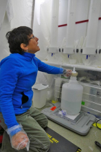 Ana Aguilar-Islas decanting filtered water from thawed ice cores