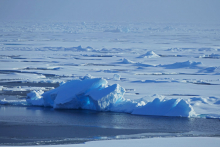 Ice floes 2