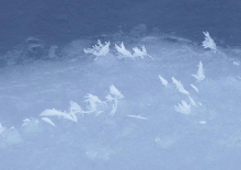 Frost flowers