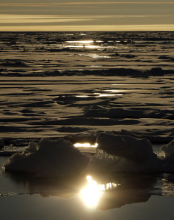 Low Sunlight on Ice