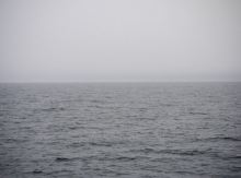 The Bering Sea