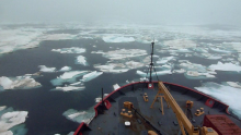 Southern Beaufort Sea Ice