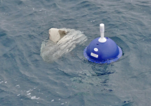 Drift Buoy with Drogue