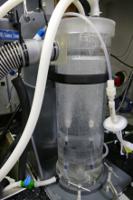 Bubbler System for Extracting Mercury from Surface Seawater