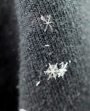 Snowflakes on Jacket