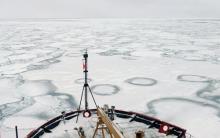 Ring Shapes In Ice