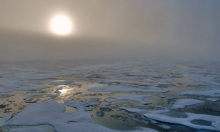 Late Evening Sun through Fog