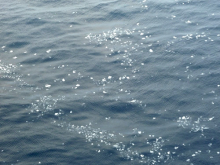 Sea Littered With Ice Bits Near Ice Edge