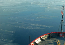 Finger Rafting in New Ice