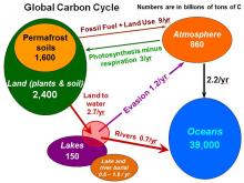 Carbon Cycle