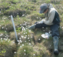 Soil needle sampling of water track