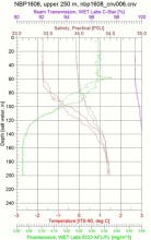 CTD cast data