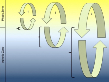 Critical Depth Hypothesis diagram