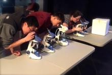 North Quincy students view diatoms under light microscopes.