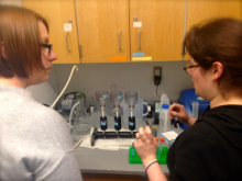 Pekarcik and Filliger filtering plankton