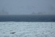 South Shetland Islands in the morning