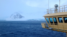 Livingston Island Spectators