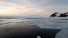 Fast ice, ice floes and seals