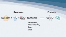 Overview of photosynthesis and some required nutrients